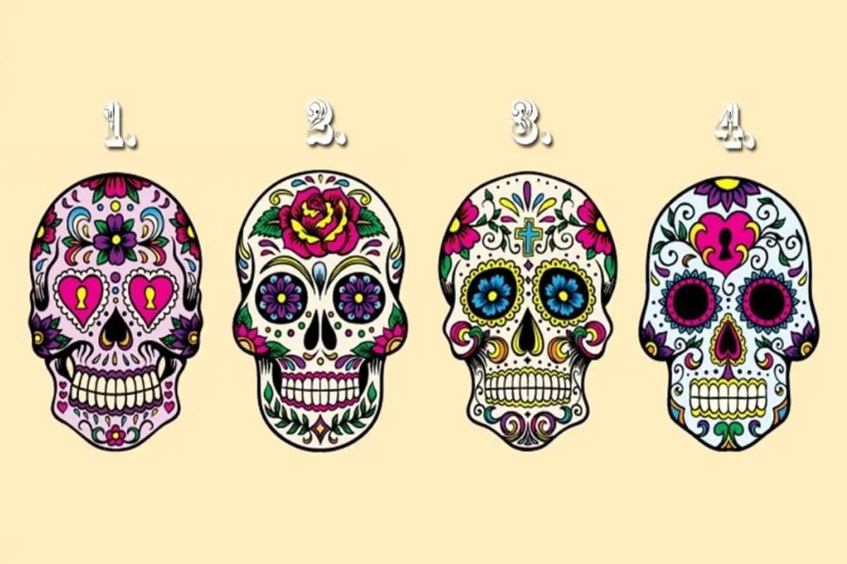 TEST VISUAL | En esta imagen hay varios cráneos diferentes. Tienes que escoger uno. (Foto: namastest.net)