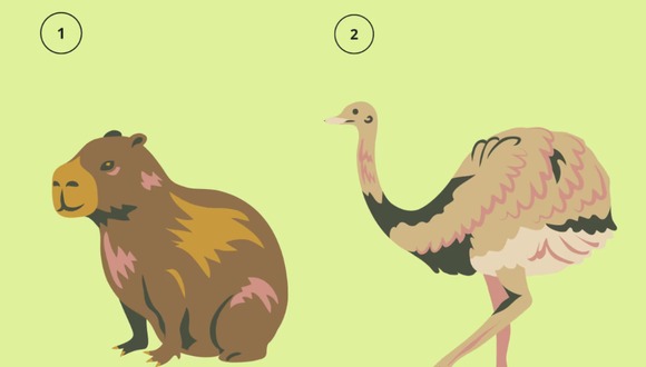 Escoge entre el avestruz o capibara para saber si mientes por encajar. (Foto: Tiempox)