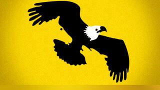 Descubre tu lado oculto identificando el primer animal que veas en la imagen