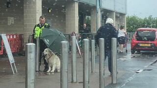 Emotivo viral: guardia protegió a un perro de la lluvia y se gana el corazón de todos en redes sociales