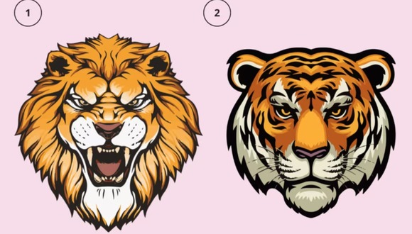 Conoce si eres una persona prepotente al elegir un león o tigre. (Foto: Tiempox)