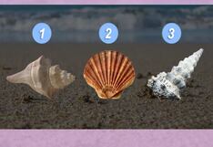 Recibirás un mensaje inspirador al seleccionar tu caracola favorita