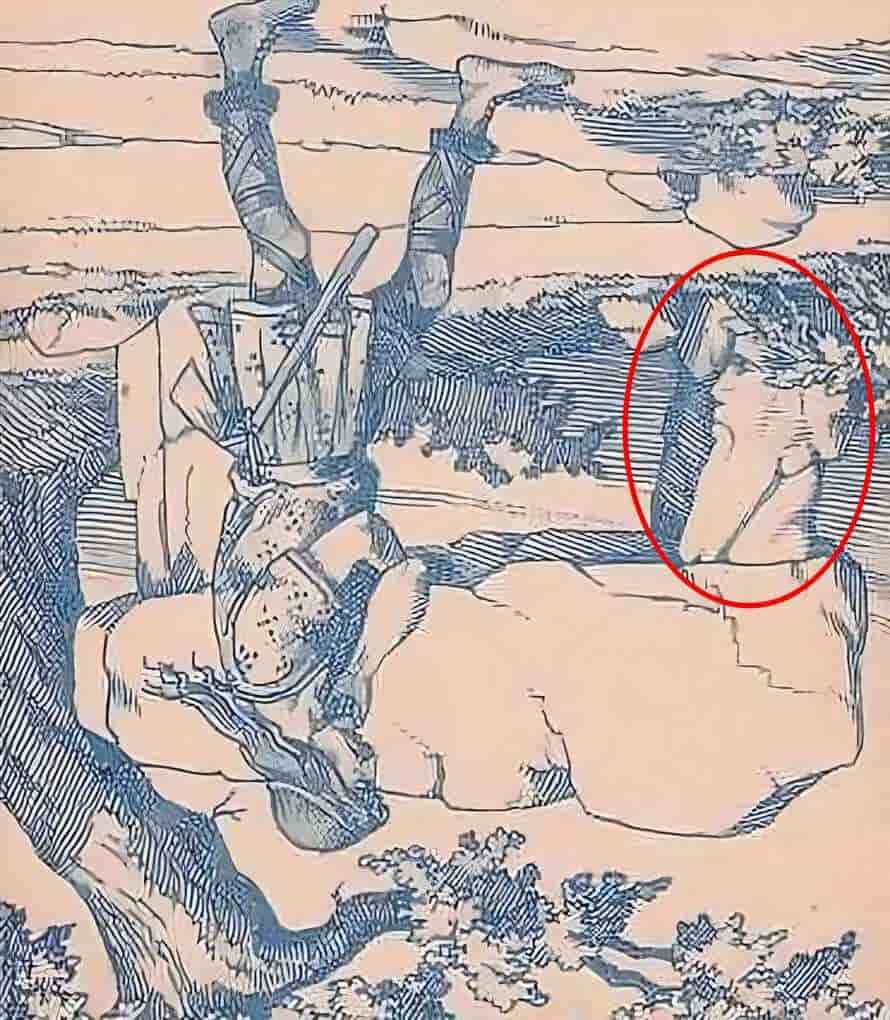 DESAFÍO VISUAL | El hombre escondido puede verse girando la imagen 180 grados. | jagranjosh