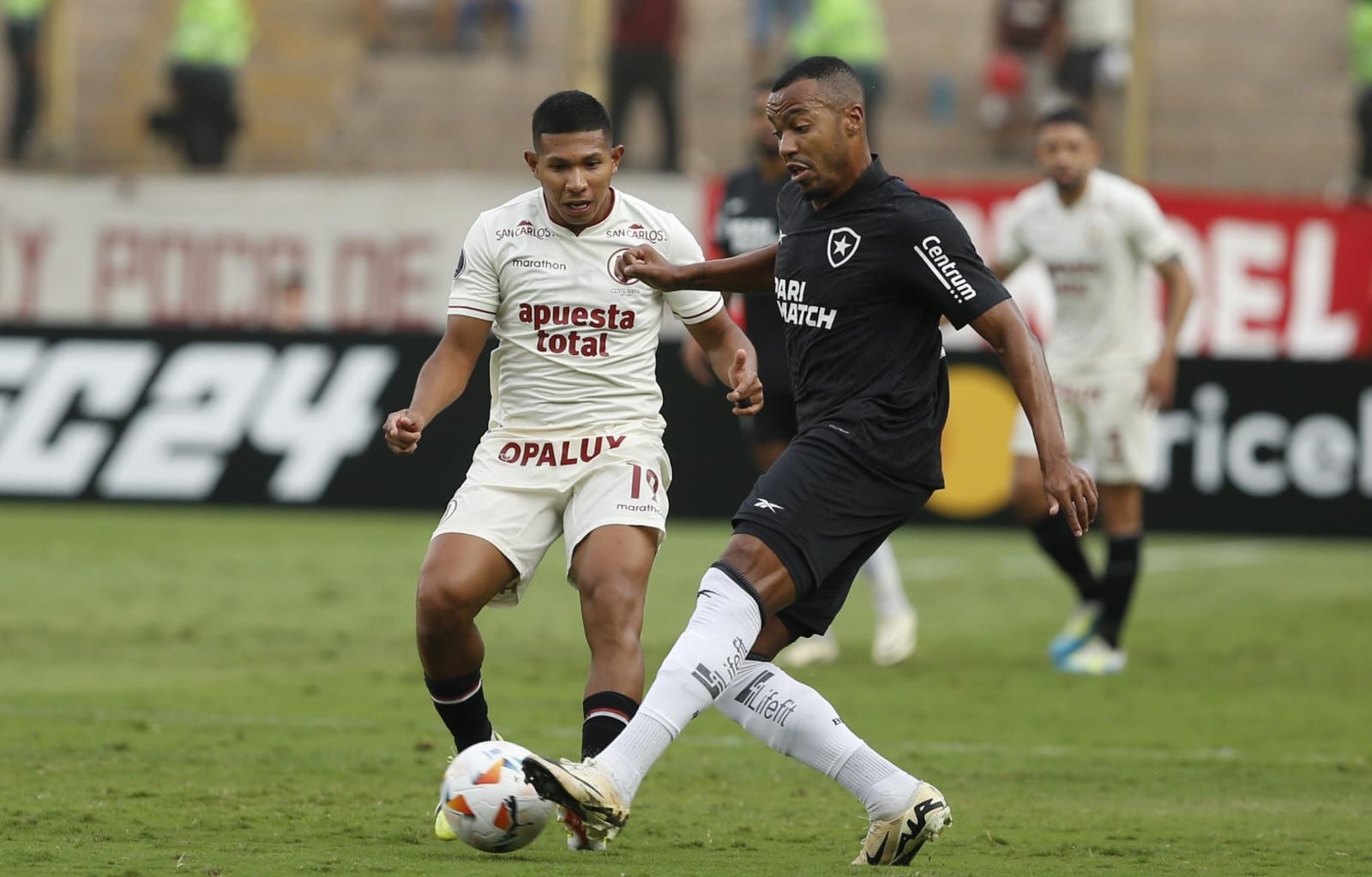 Edison Flores tuvo minutos ante Botafogo (Foto: GEC)