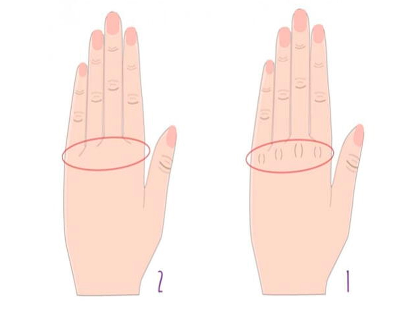 Debes elegir solo una de las alternativas y tras ello podrás conocer más al respecto de tu personalidad.| Foto: namastest