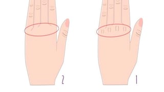 Debes elegir cuál se parece a la forma de tus manos y conocerás tu tipo de personalidad
