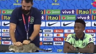 Gato se roba la atención durante la conferencia de prensa de Vinícius [VIDEO]