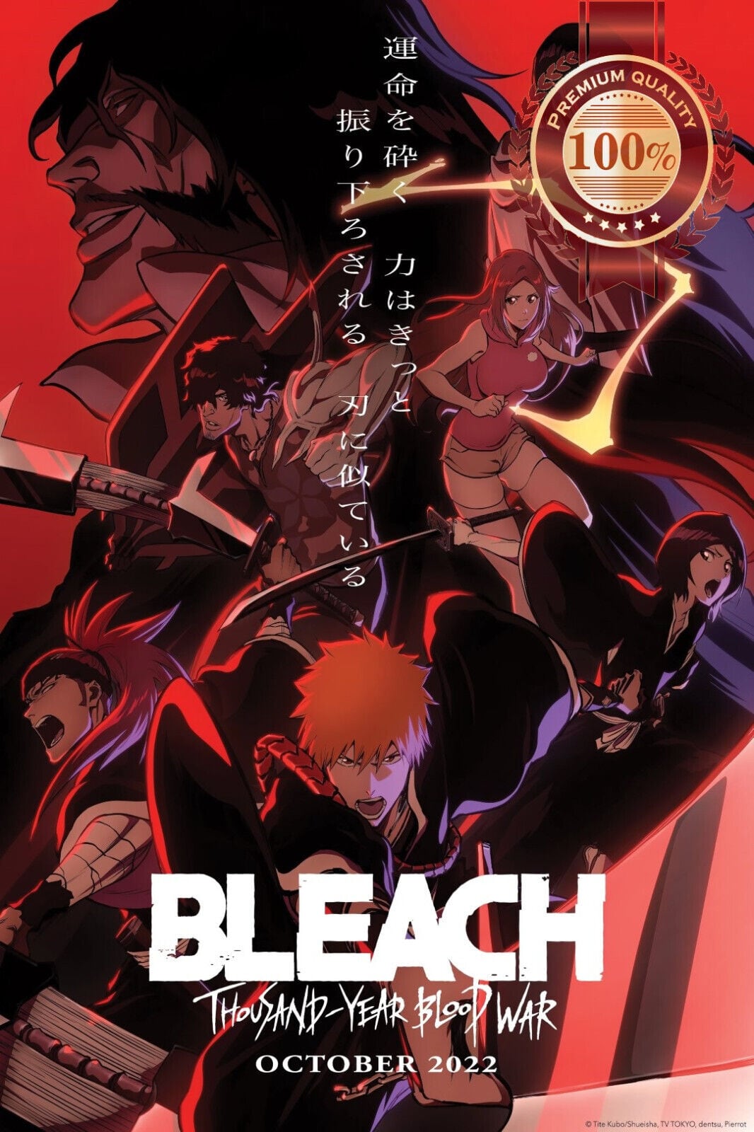 Bleach: Thousand-Year Blood War - Póster promocional (Foto: StarPlus)