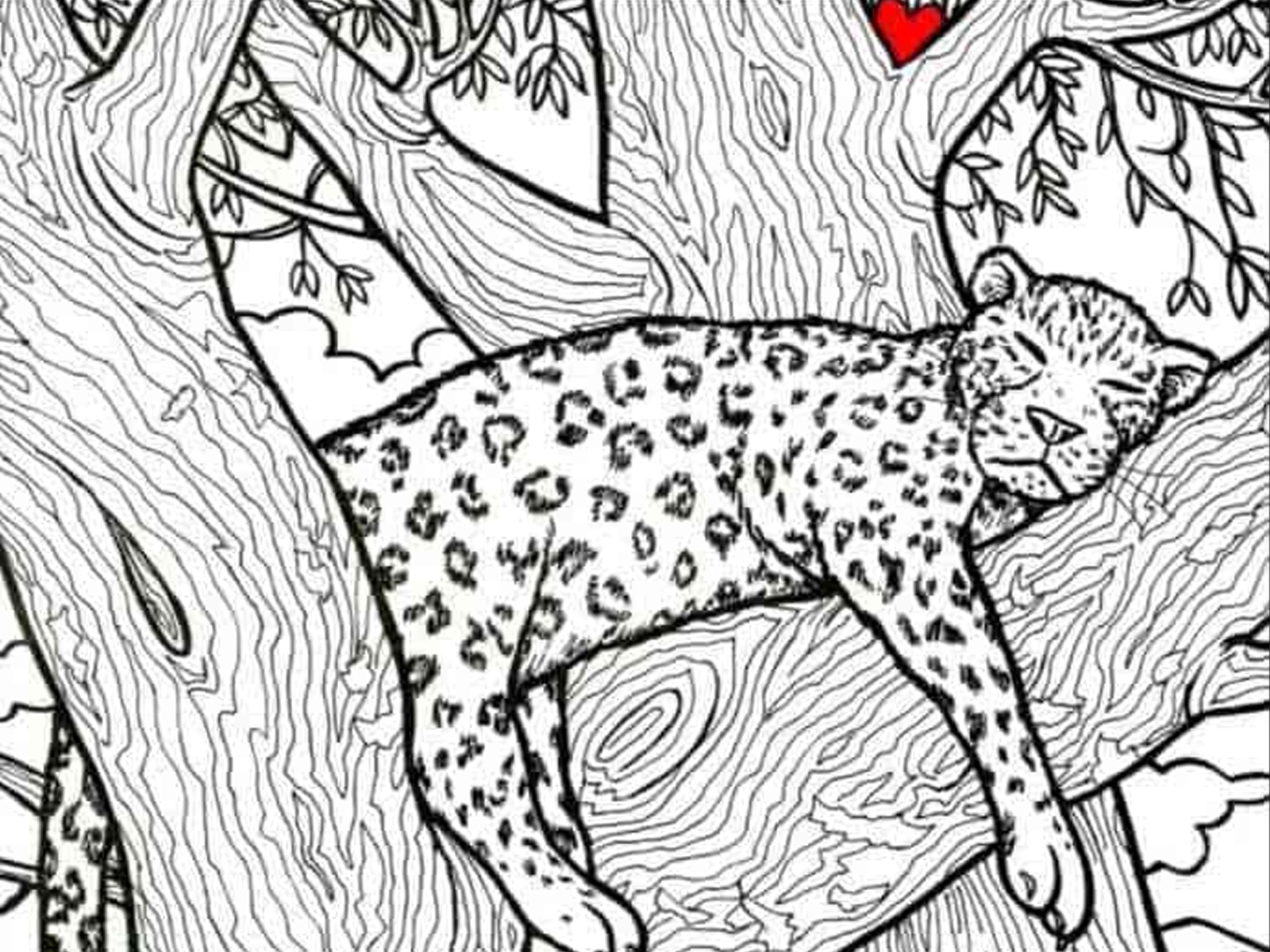 DESAFÍO VISUAL | Tienes ojos de cazador si puedes detectar el pez en la imagen en 10 segundos. | jagranjosh