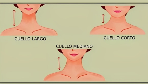 Test de personalidad: descubre qué virtudes tienes según el tamaño de tu cuello (largo, corto o mediano) (Foto: Namastest).