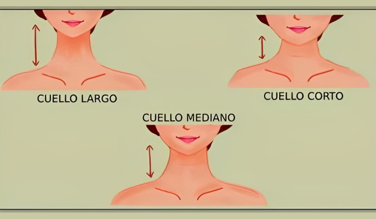 Test de personalidad: descubre qué virtudes tienes según el tamaño de tu cuello (largo, corto o mediano) (Foto: Namastest).