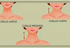 Conoce cuáles son tus virtudes según el tamaño de tu cuello en esta ilustración
