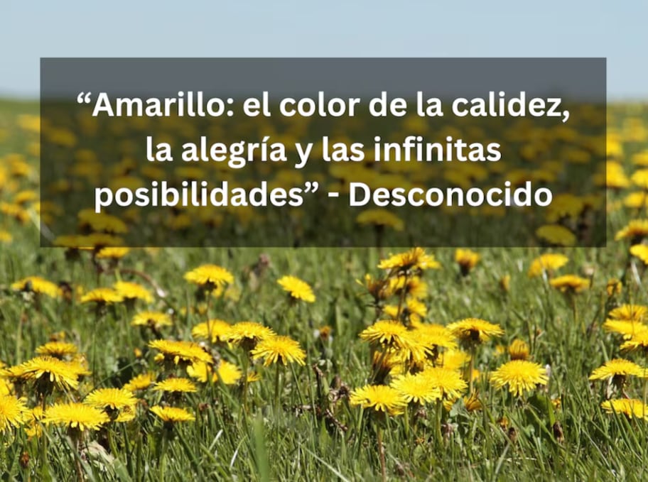 “Amarillo: el color de la calidez, la alegría y las infinitas posibilidades” - Desconocido | Imagen de NoName_13 en Pixabay / Composición Depor.