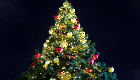 La historia tras el árbol de Navidad (Foto: internet)