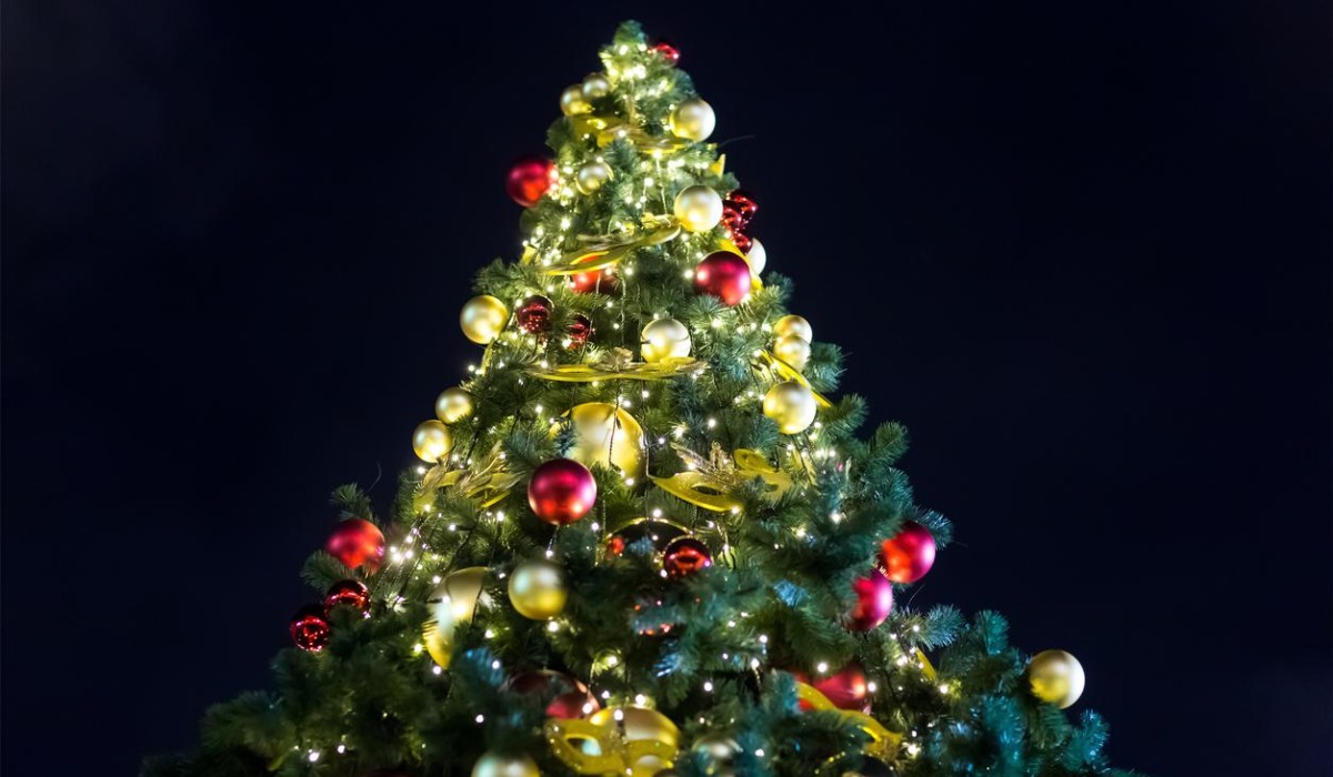 La historia tras el árbol de Navidad (Foto: internet)