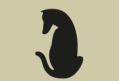 El animal que observes primero te revelará si posees confianza en ti mismo