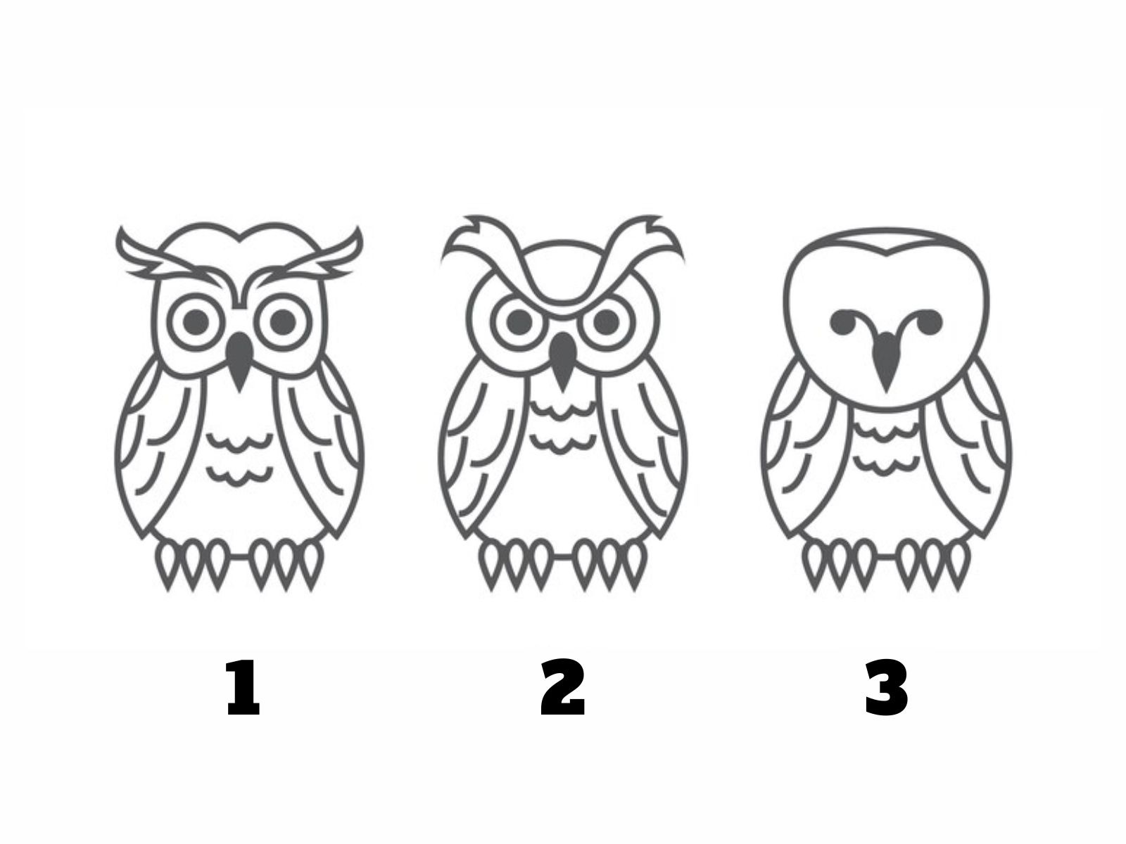 TEST VISUAL | Solo tendrás la posibilidad de seleccionar un búho. Los resultados te sorprenderán.