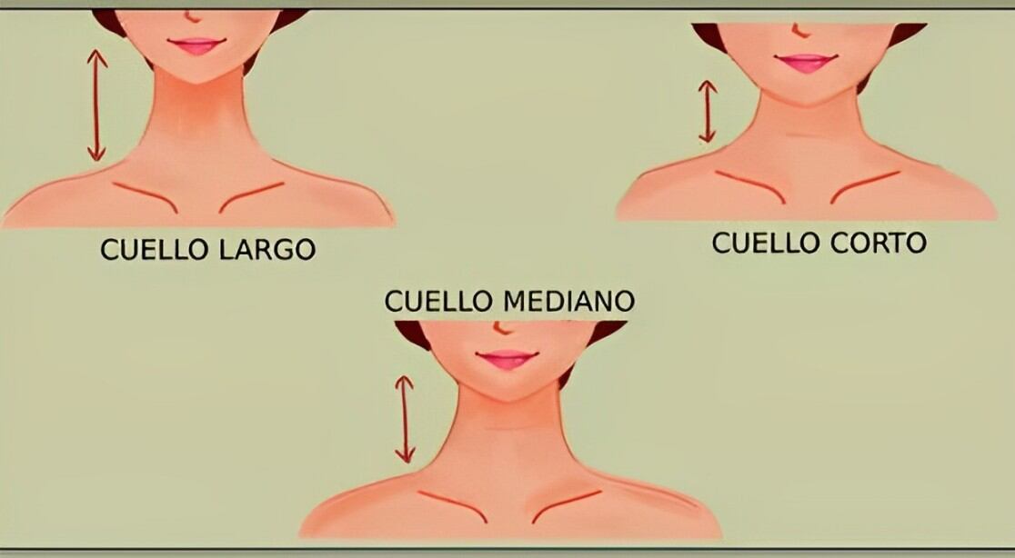 Descubre qué virtudes tienes según el tamaño de tu cuello (largo, corto o mediano) (Foto: Namastest).