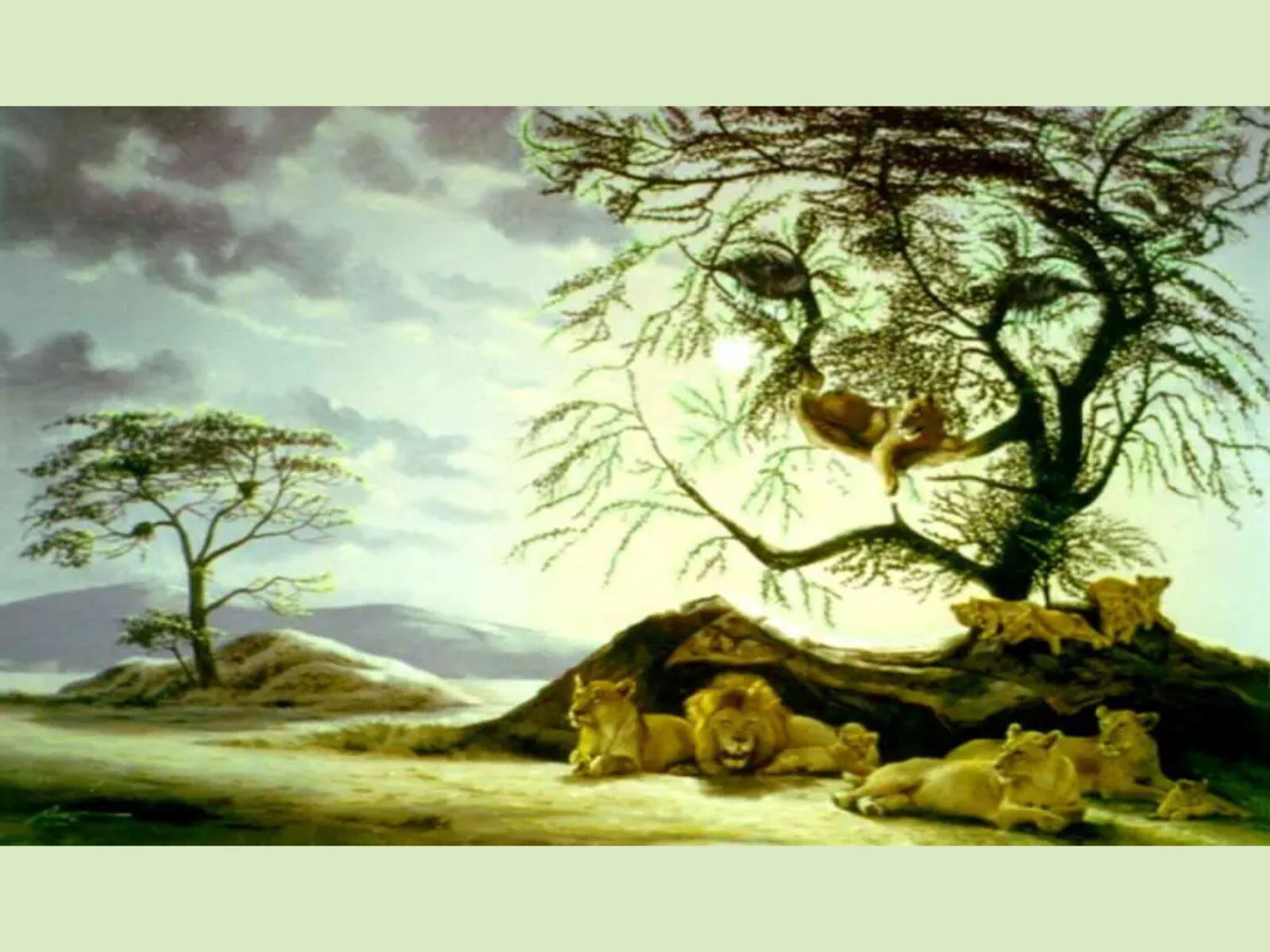 TEST VISUAL | Determina la cantidad de leones en el gráfico que visualizarás. (Foto: Namastest)