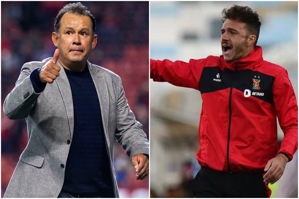 Juan Reynoso y Mariano Soso, dos opciones más en Alianza Lima.