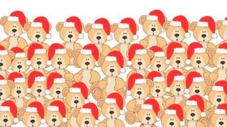 Reto viral: ¿Puedes ver al oso de peluche sin la gorrita de navidad en el desafío que remece las redes? [FOTOS]
