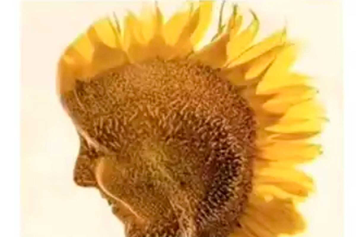 TEST DE PERSONALIDAD | En esta imagen se aprecia un girasol y el rostro de una mujer. Responde qué viste primero y conocerás los resultados. | Foto: genial.guru