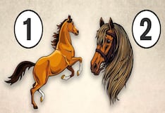 Descubre los desencadenantes de tu ira según tu elección de caballo