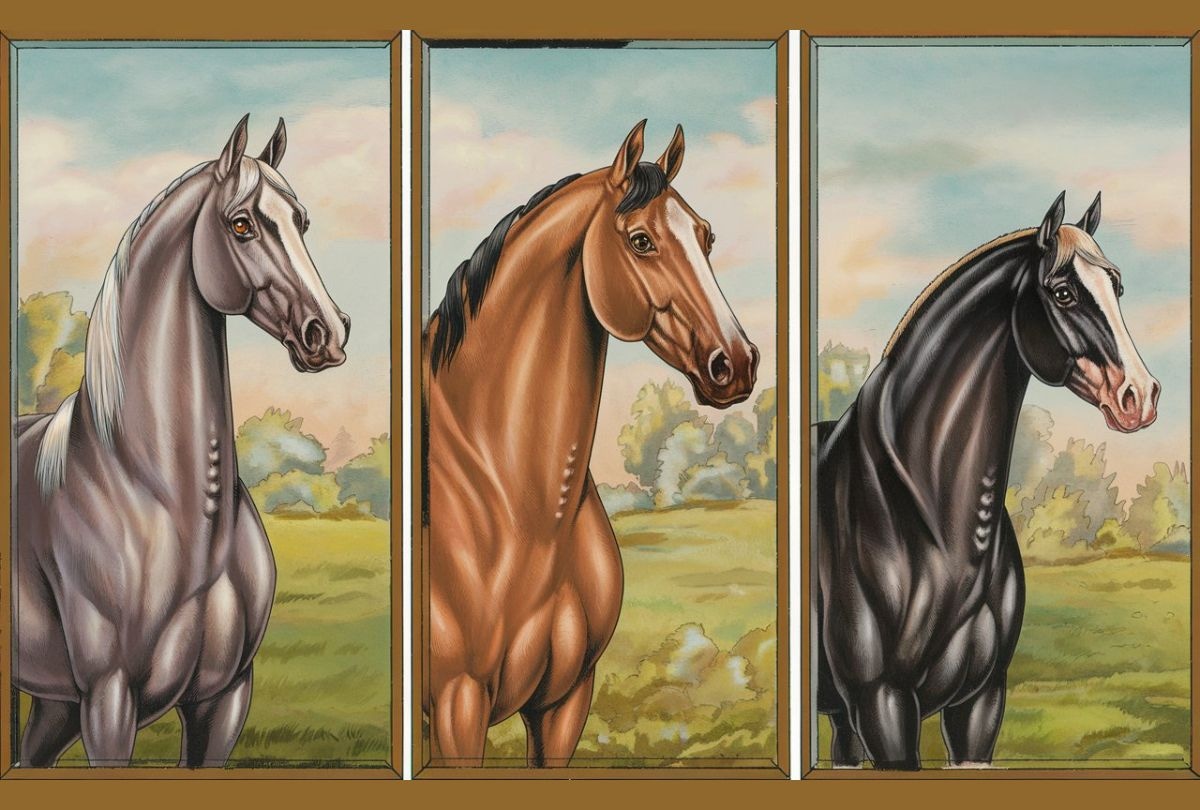 Test de personalidad: elige uno de los caballos en esta imagen para descubrir cuán lejos llegarás e la vida (Diseño: Depor).