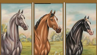Elige uno de los caballos en esta imagen para descubrir cuán lejos llegarás e la vida