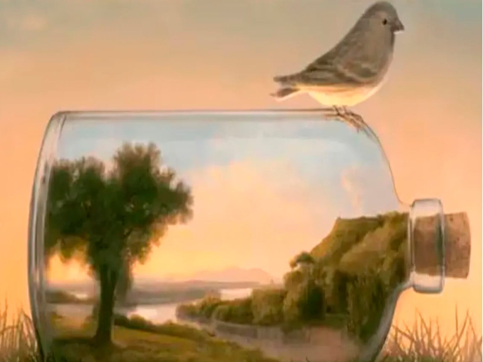 Solo necesitas indicar cuál de todos los elementos captó tu atención y conocerás los resultados. del test visual.| Foto: namatest