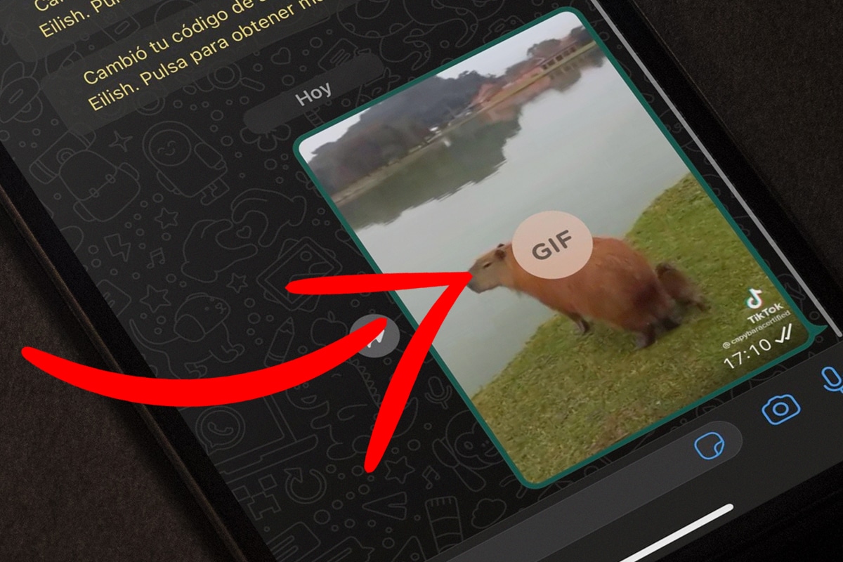 WHATSAPP | Todo lo vas a realizar desde la propia aplicación. (Foto: Depor)