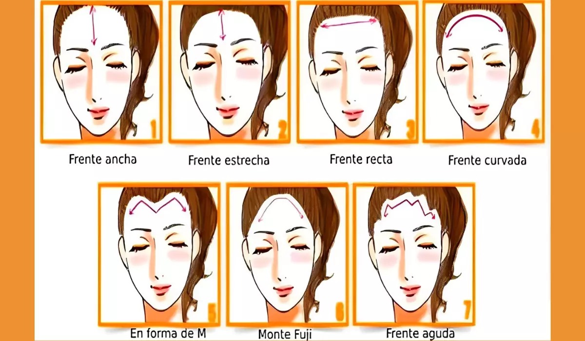 Test visual: la forma de tu frente determinará cuáles son las características de tu personalidad (Foto: GenialGuru).