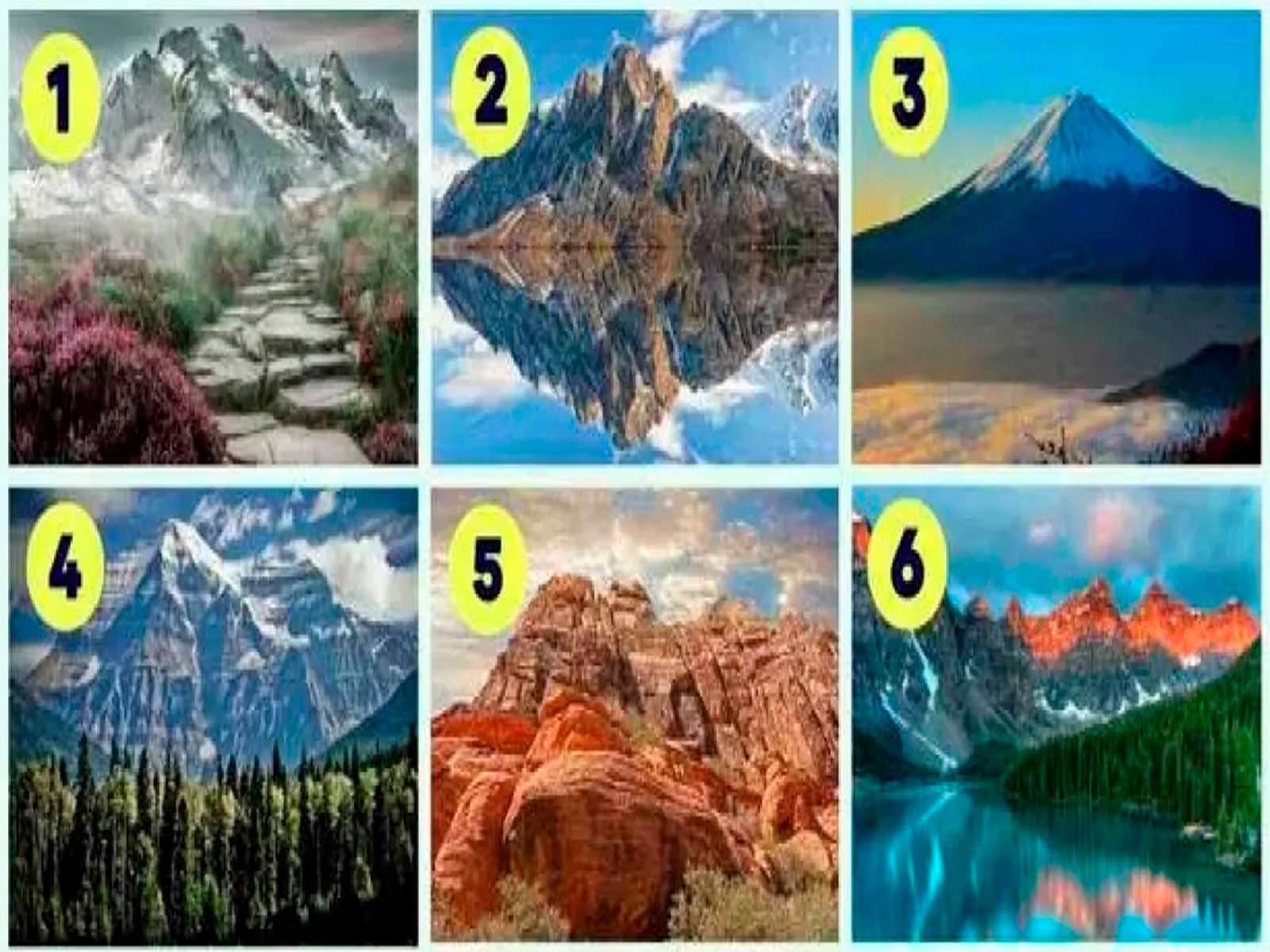 TEST VISUAL | Simplemente debes analizar la imagen por algunos segundos y después de ello conocerás los resultados. | Foto: namastest