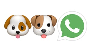 WhatsApp: conoce el tierno significado que esconde la carita de perro
