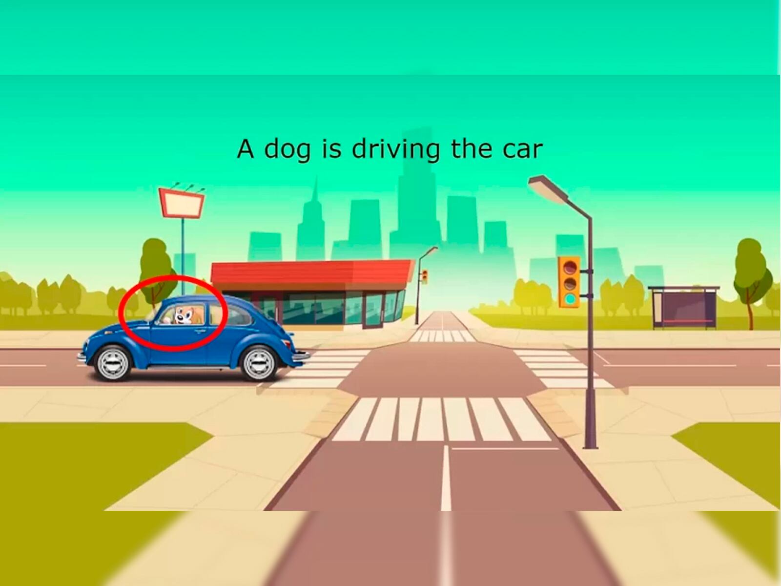 Aquí te muestro cuál es el error del reto viral. El vehículo está siendo manejado por un perro.| Foto: namastest