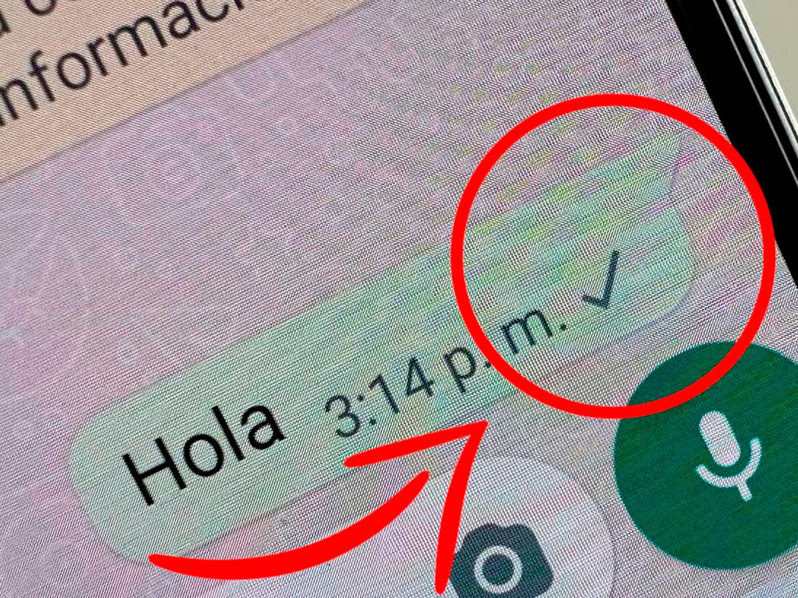 WHATSAPP | Esto es lo que significa un solo check gris en WhatsApp. Aquí te lo contamos. (Foto: MAG - Rommel Yupanqui)
