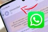Que no llenen tu smartphone: Pasos para evitar te agreguen a grupos de WhatsApp