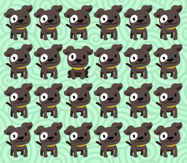 ¿Eres capaz de ubicar el perro que es diferente al resto en menos de 5 segundos? (Foto: GenialGuru).