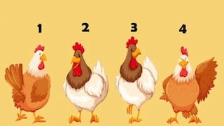 ¿Te atreves a descubrirlo? Prueba revela con un 98% de precisión cómo te perciben los demás