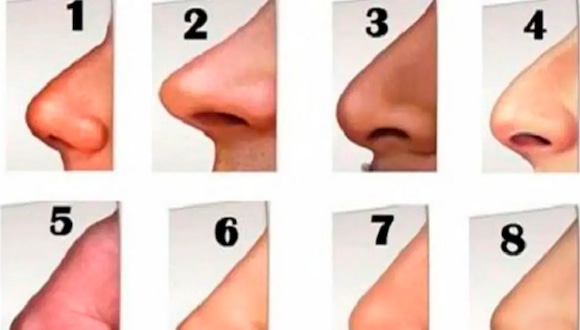 Se aprecian 8 formas diferentes de nariz y tú solo debes escoger aquella que se parezca más a la tuya para conocer así los resultados del test de personalidad.| Foto: namastest
