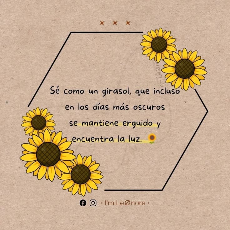 Imágenes de flores amarillas para compartir este 21 de marzo en redes sociales (Foto: Pinterest).