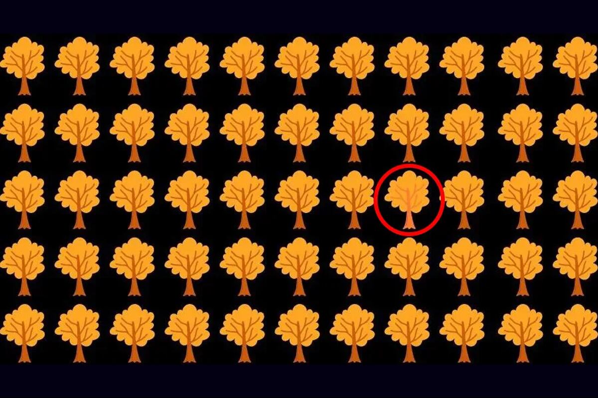 SOLUCIÓN DEL DESAFÍO VISUAL | El tono de las ramas y el tronco del árbol es más claro que el resto, lo que lo hace diferente.