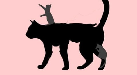 TEST DE PERSONALIDAD | Simplemente dinos cuántos gatos identificas en la imagen y conocerás los resultados de la prueba. (Foto: genial.guru)