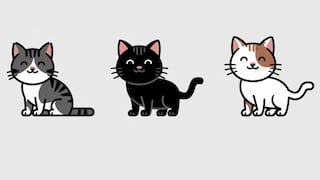 Elige uno de los gatos en esta imagen para descubrir si eres una persona mentirosa