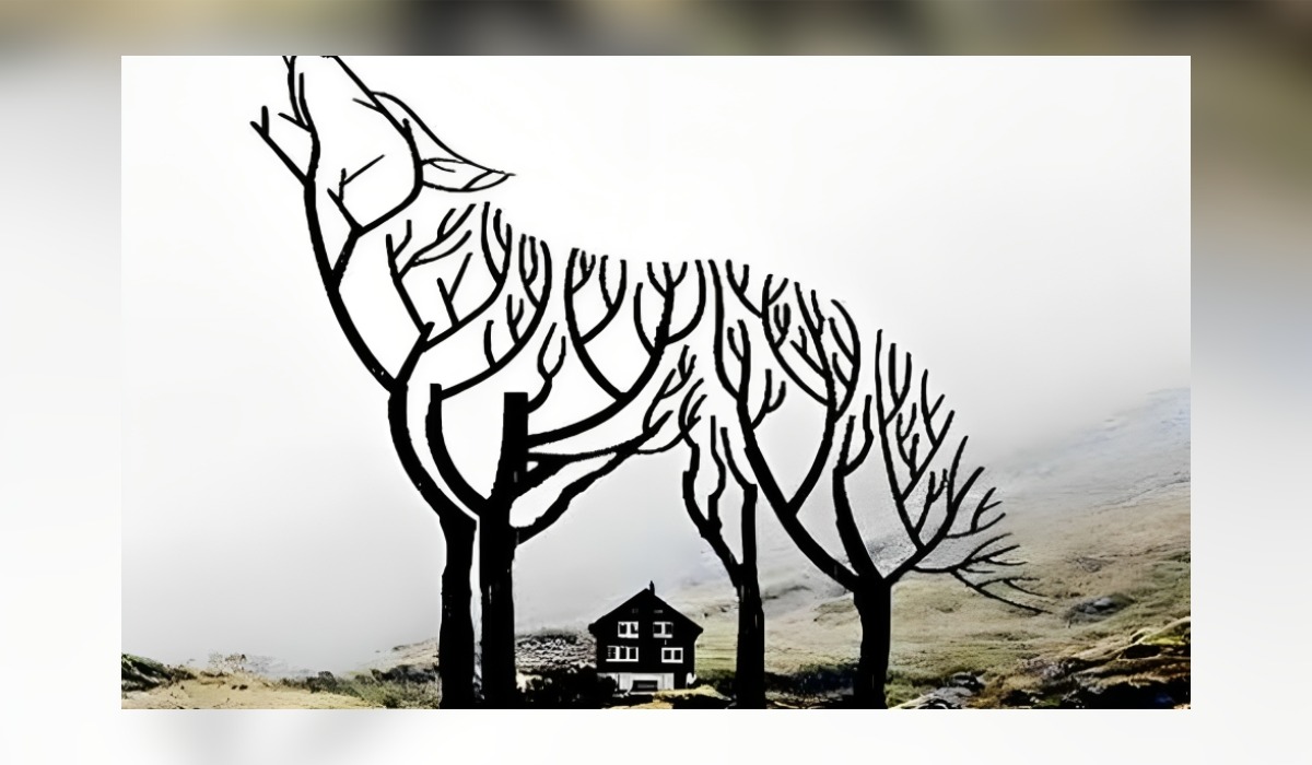 Descubre si eres un líder nato según lo primero que viste en este test de personalidad (Foto: GenialGuru).