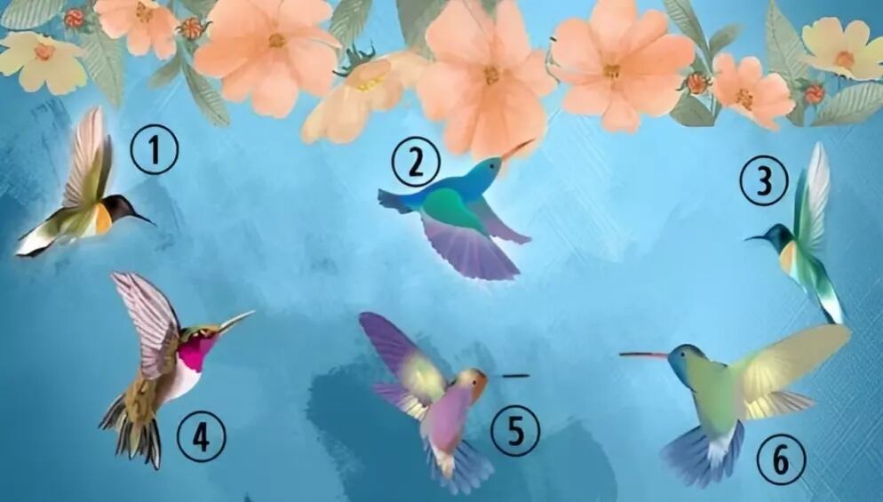 El primer colibrí que elijas aquí determinará cuál es tu verdadera personalidad (Foto: GenialGuru).