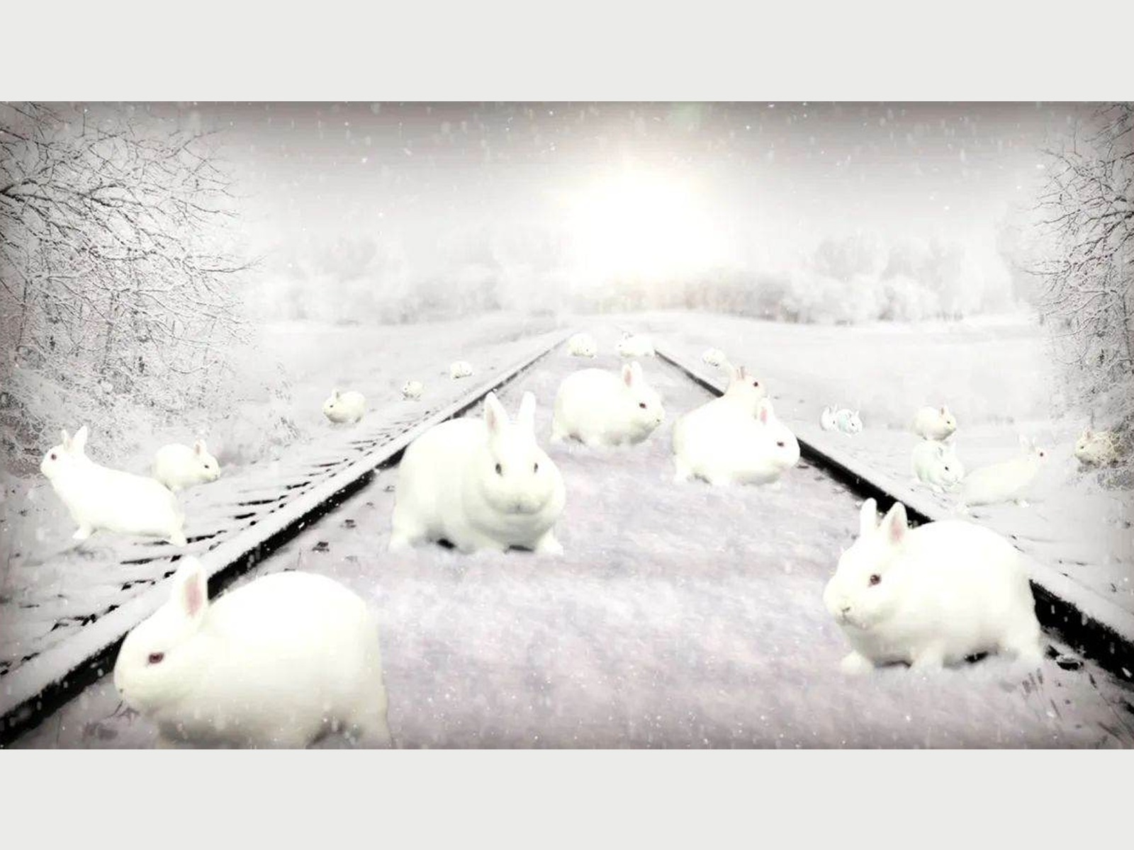 DESAFÍO VISUAL | ¿Puedes contar la cantidad de conejitos blancos en esta imagen de vías de tren nevadas?