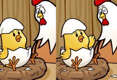 Reto visual: ¿Encontrarás las 5 diferencias en 10 segundos? Solo 1 de cada 10 lo logra