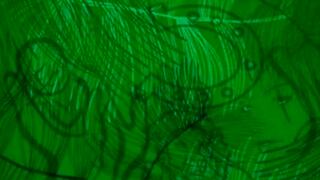 ¿Te falta algo para ser feliz? Conócelo respondiendo qué ves en la imagen