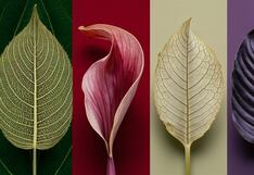 Descubre si eres una persona dominante con solo elegir una hoja en esta imagen